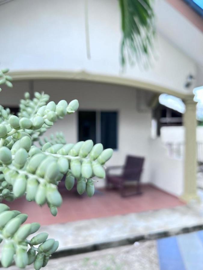 Dhania Cenang Beach Motel Пантай Ченанг Екстериор снимка